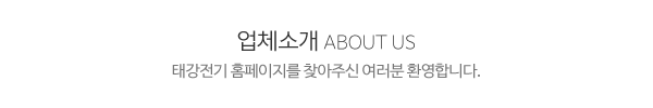 태강전기_메인문구_내용
